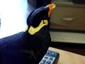 あべちゃん:うぉぉおおおお!