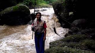 Umpan Pake Belut Ternyata Efektif Untuk Mamcing Hampala