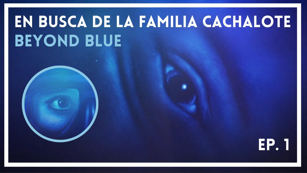 BEYOND BLUE | En busca de la familia CACHALOTE - Ep.1 | Gameplay Español