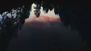 🧠 Day 104: Present Moment Awareness | NLP Meditation | Neurolink Stillness