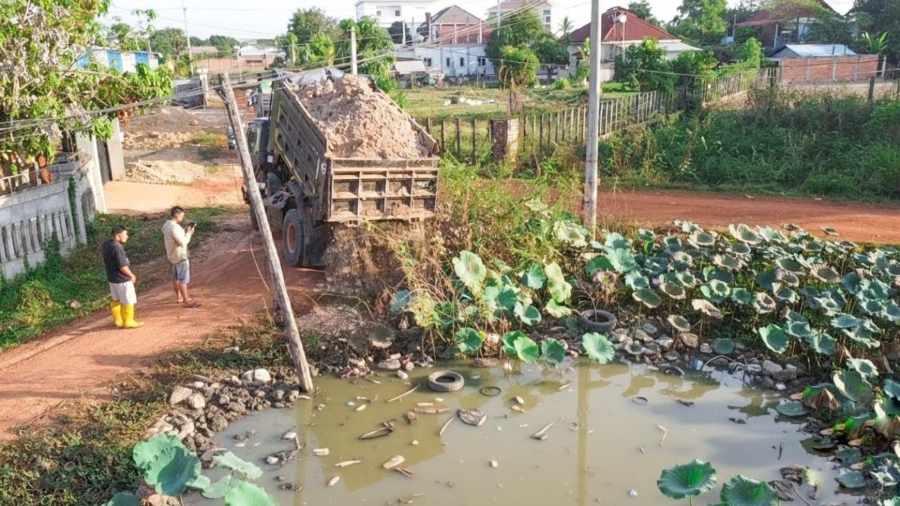 Nicely action cleaning forest and pond skill operator dozer pouring soil with 5ton trucks uploading