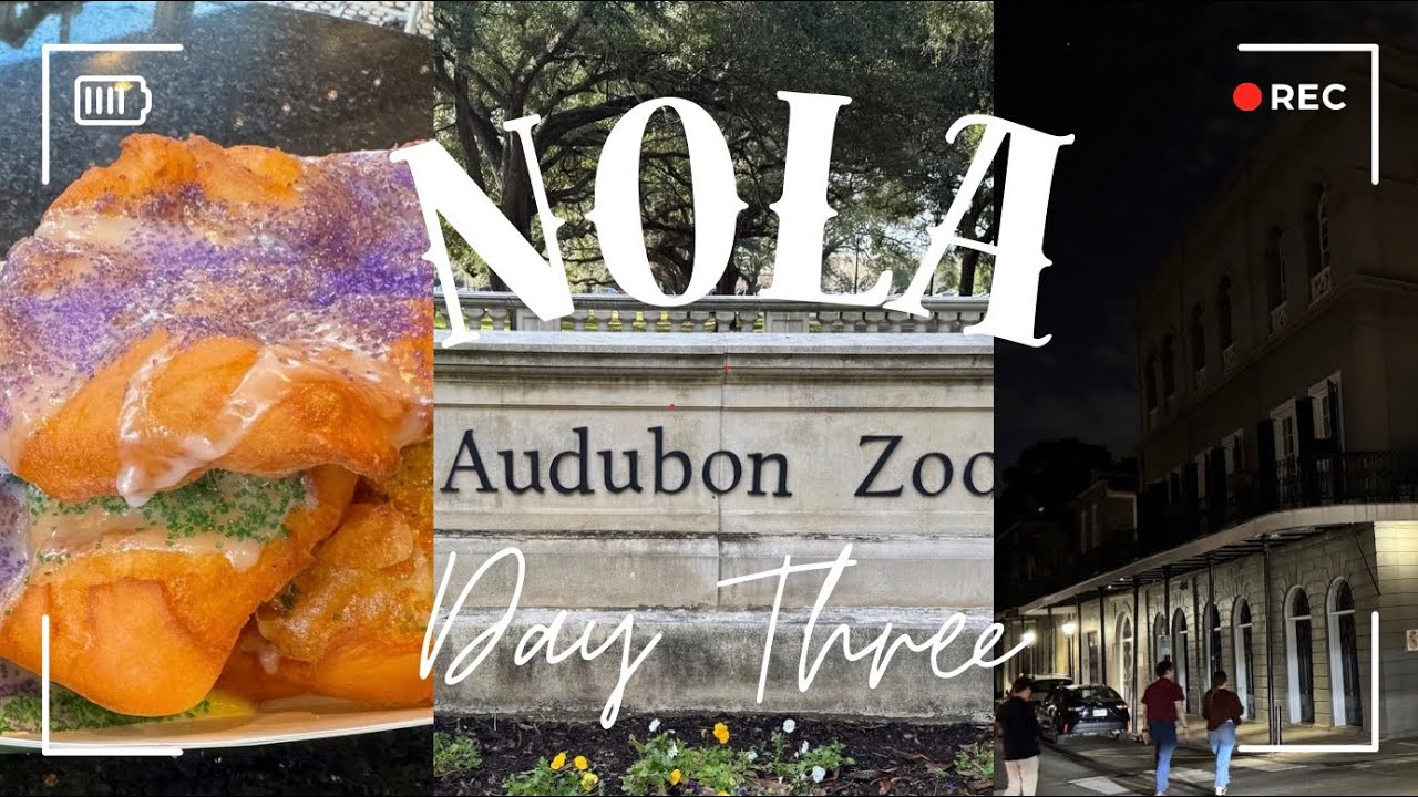 NOLA Day 3- Zoo, Vue, Cafe Beignet, Ghost & Vampire Tour
