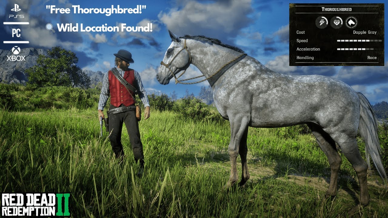 RDR2 Wild Thoroughbred Location – How to Get It for Free!