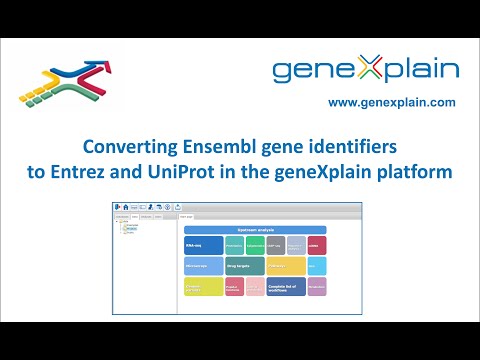How to convert gene identifiers from Ensembl to others in the geneXplain platform