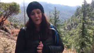 Biff Video Amanda Knox - Biff 2018