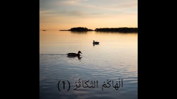 سوره التكاثر بصوت الشيخ فارس عباد🌼🖤