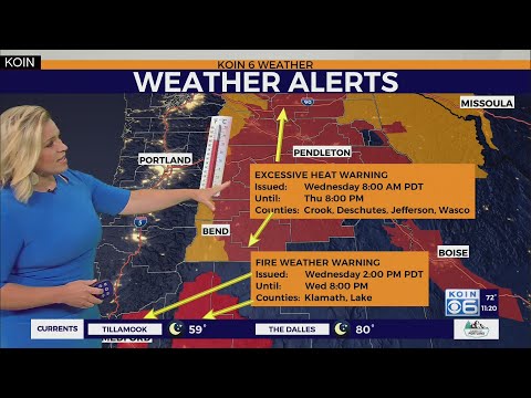 WEATHER FORECAST: Hot