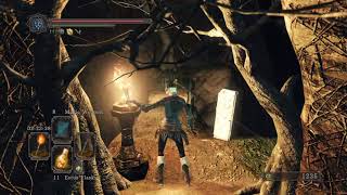 DARK SOULS 2 SOTFS -- Light all torches in Things Betwixt screenshot 1