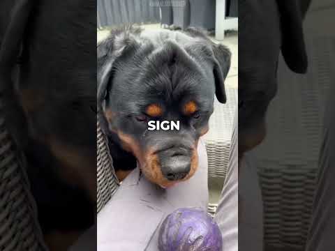 4 Signs your