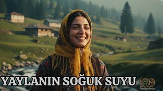 Yaylanın Soğuk Suyu Psychedelic Anatolian Rock Cover