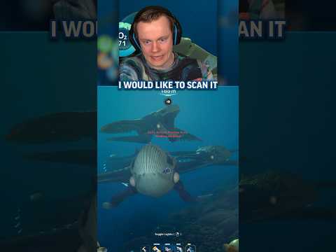The Isla Moon Documents: A Deep Dive