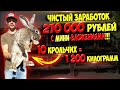 270 000 рублей на разведении 10 кроликов в ямах под землей с минимальными вложениями