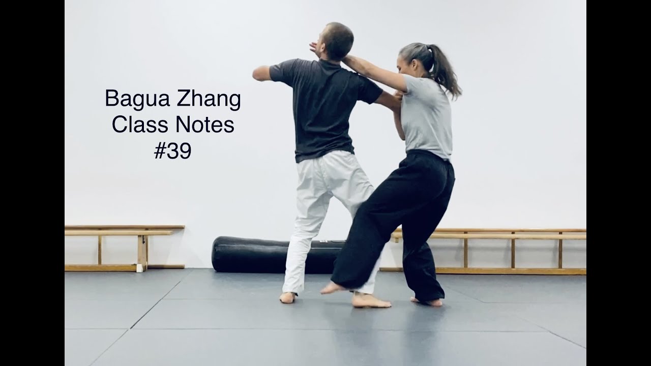 Bagua Zhang - Class Notes #39 / 21. October 2022