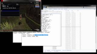FFXI Windower Macro Guide(w/ Commentary)