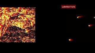 Exponential Time surface, Event-based camera