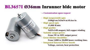 #BL3657I #BL3657 #B3657M #RS555 bldc electric motor with built-in driver board from China supplier