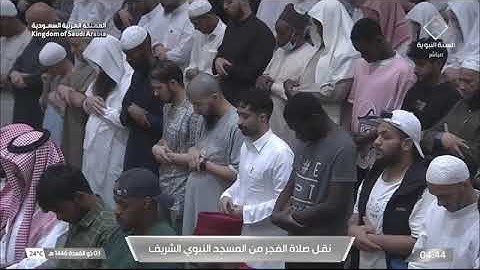 صلاة الفجر للشيخ أ.د. #محمد_برهجي الخميس 3 ذو القعدة 1446هـ سورة القلم كاملة #المسجد_النبوي