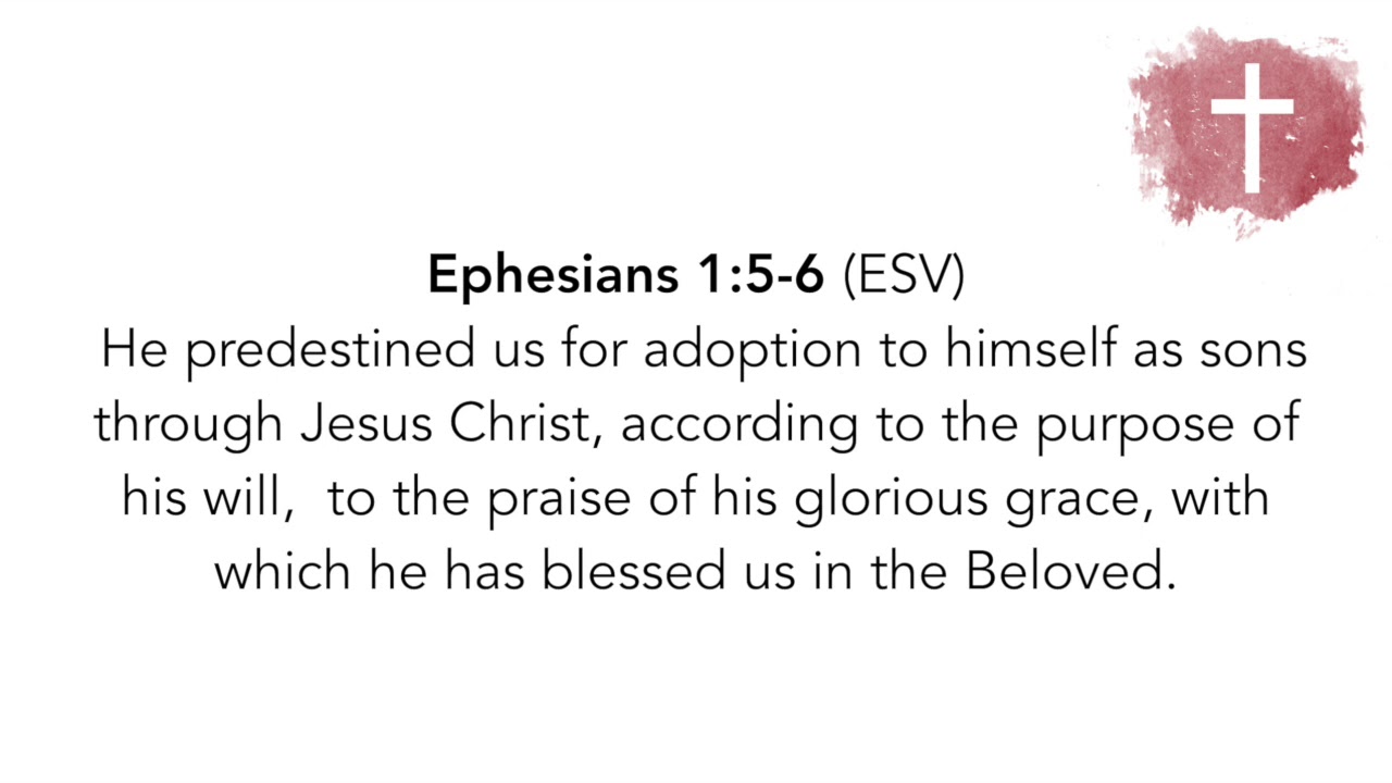 SCRIPTURE MEMORY SONG | Ephesians 1:5-6