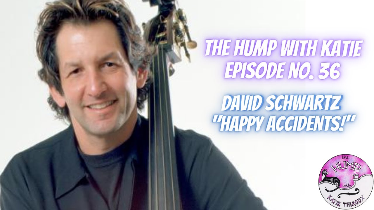 Episode 36 David Schwartz - Happy Accidents!