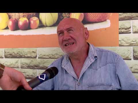 თვიმართველობის მიმართულებით - პანდემია და მუნიციპალიტეტების გამოწვევები