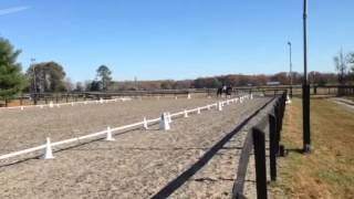 Jimmie Echo 1st level test 2
