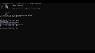 4: Master the Linux Terminal: Basic Commands & C-R-U-D #day 4 aws 