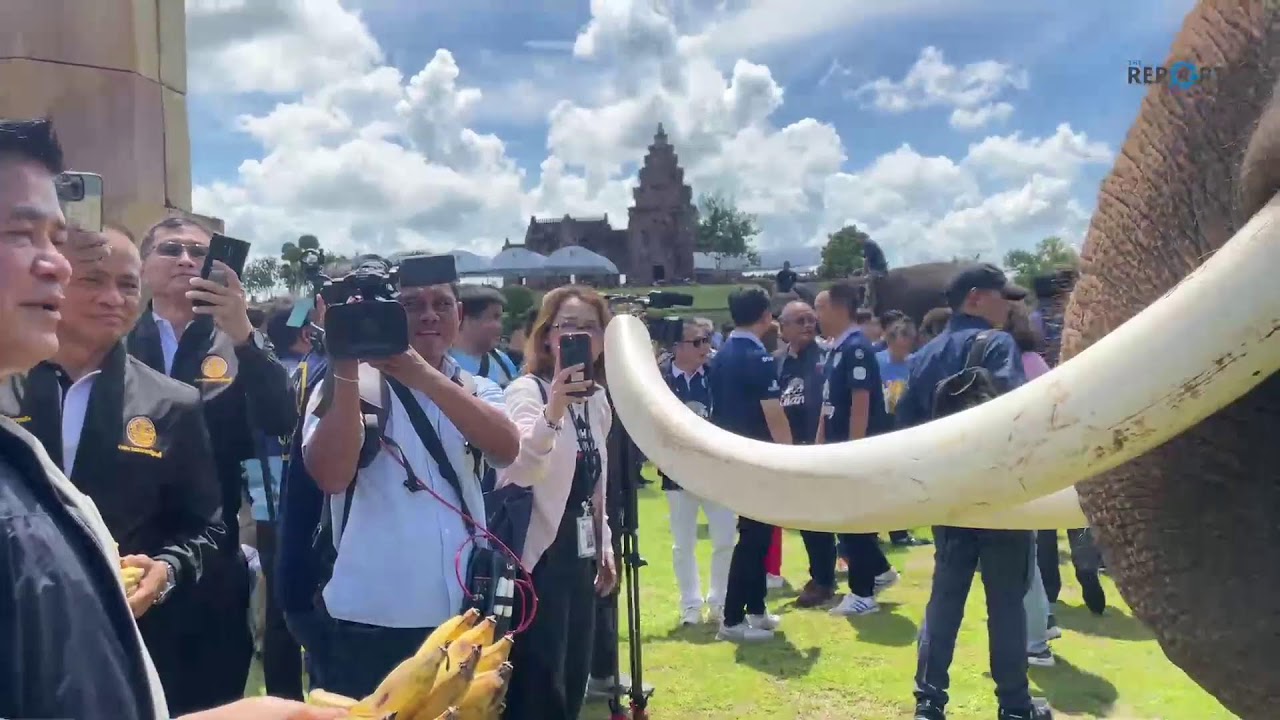 LIVE: 'นายกฯ อนุทิน' เข้าร่วมงานวันเกิด ‘เนวิน ชิดชอบ‘ ปีที่ 67 ที่บุรีรัมย์ คาสเซิล จ.บุรีรัมย์