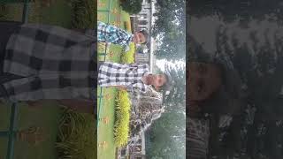 nice garden