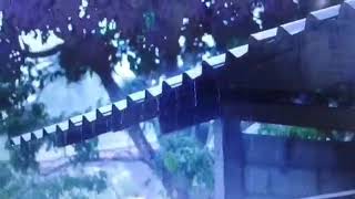 Relaxing Rain Video - Drifting into the Embrace (1 Hour) #rain #rainvideo