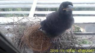 20161110T0730~0800