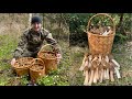 СМОРЧКОВАЯ ШАПОЧКА НА КАЖДОМ ШАГУ!!! БЕЛАРУСЬ. (Verpa bohemica, Morchellaceae)