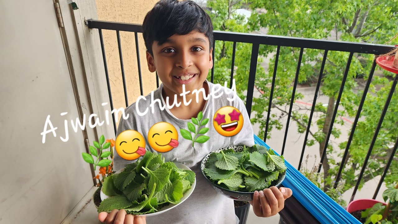 Ajwain Chutney helping mom in kitchen 😉🌿🌿 gauthamtimes YouTube