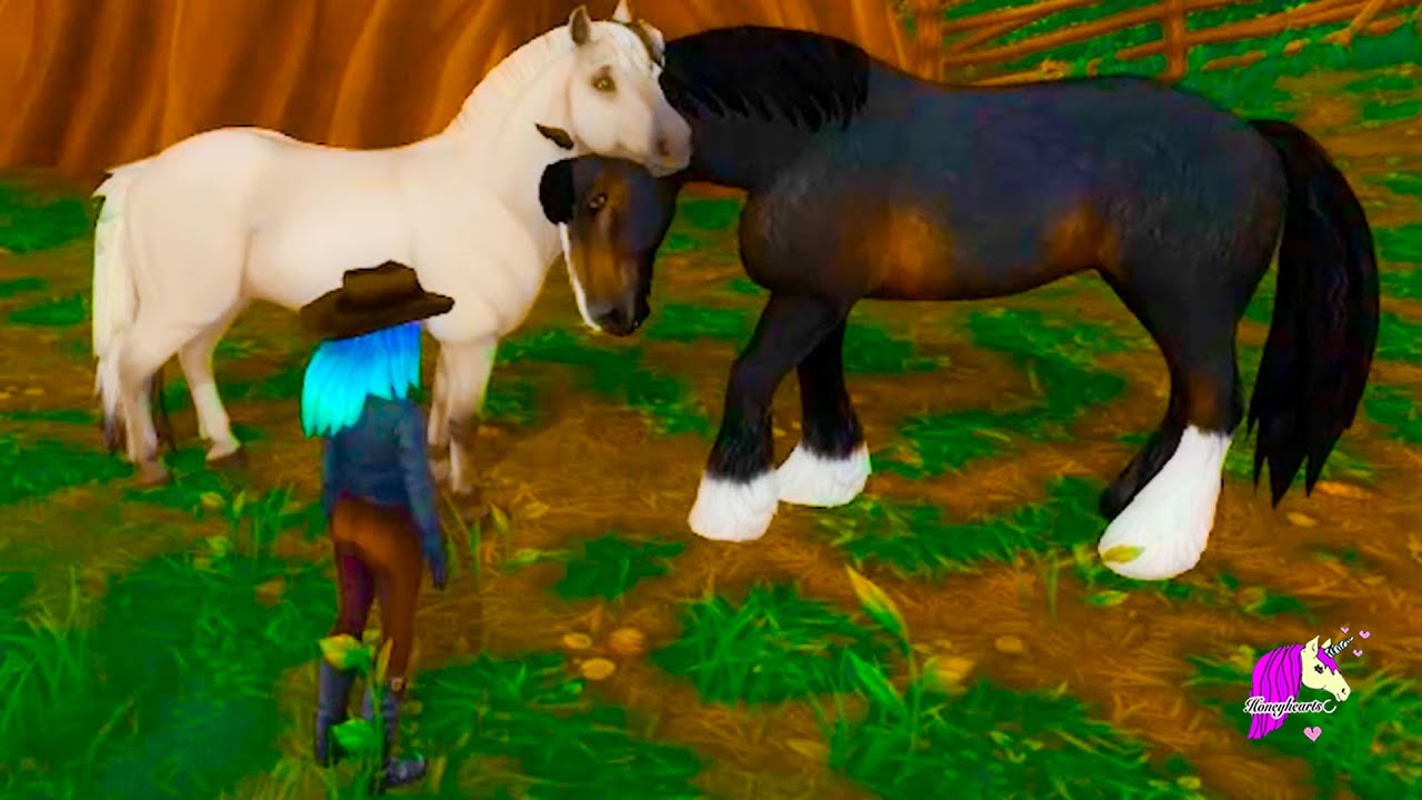 Training In The WildWoods Star Stable Online Horse Video