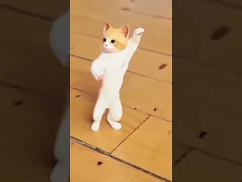 محمد السالم قلب قلب