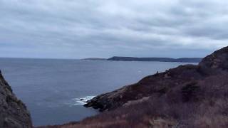 Cuckholds Cove, Newfoundland, Canada April 2010 HD