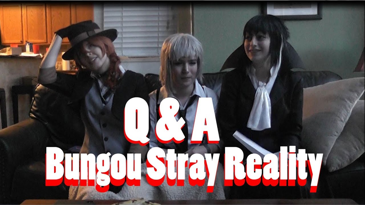 Bungou Stray Reality Q&A