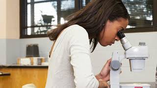 Bay Path University's Women in STEM Honors Program (WiSH) students share their experiences.