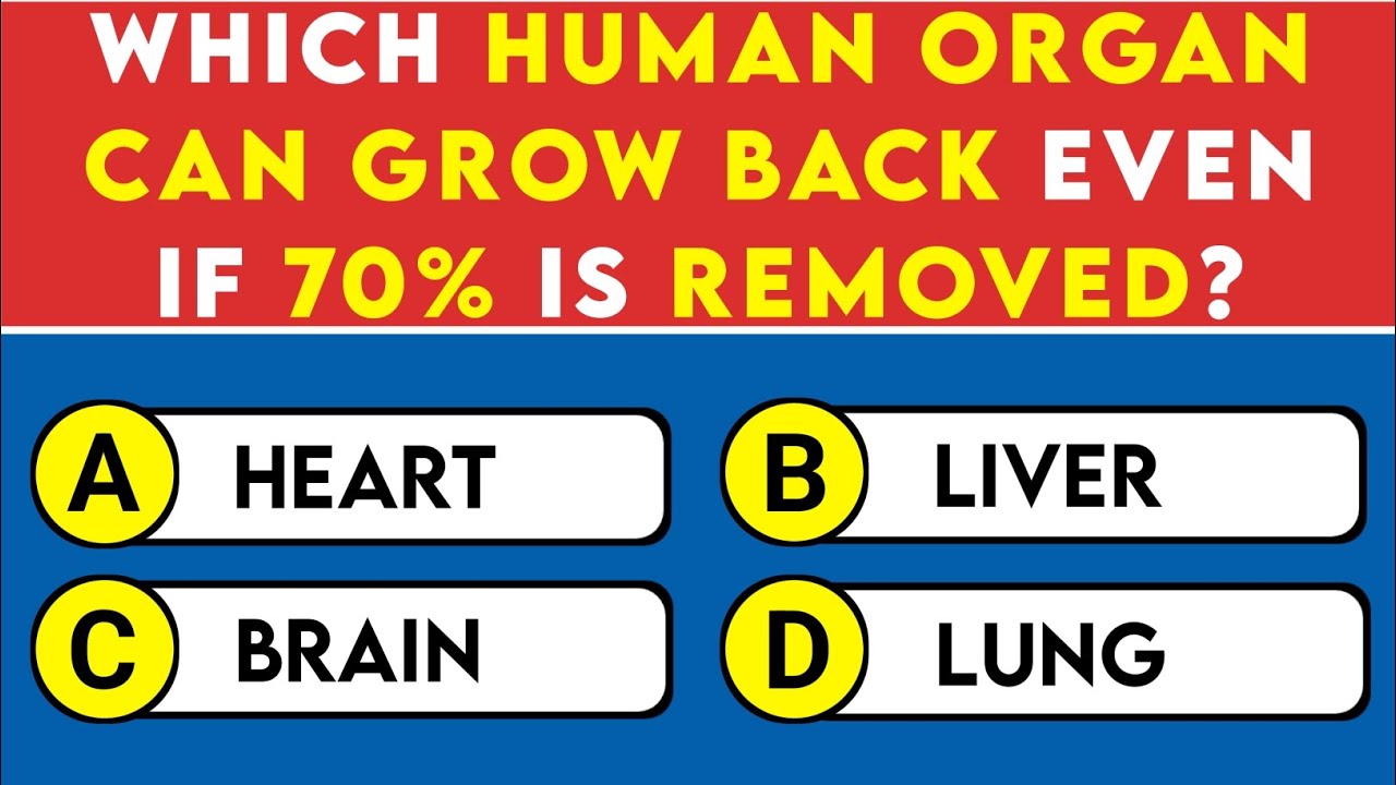 Can You Score 30/40? 🧠 | Ultimate Human Anatomy Quiz - YouTube