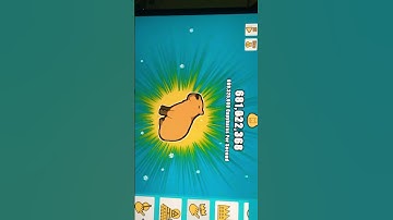 Capybara clicker!!! #funwithcapy