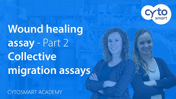 How to perform collective cell migration assays - Wound healing assay - CytoSMART Academy