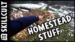 Homestead Work and Stuff, Chopping, Collecting Scions, Last Apples