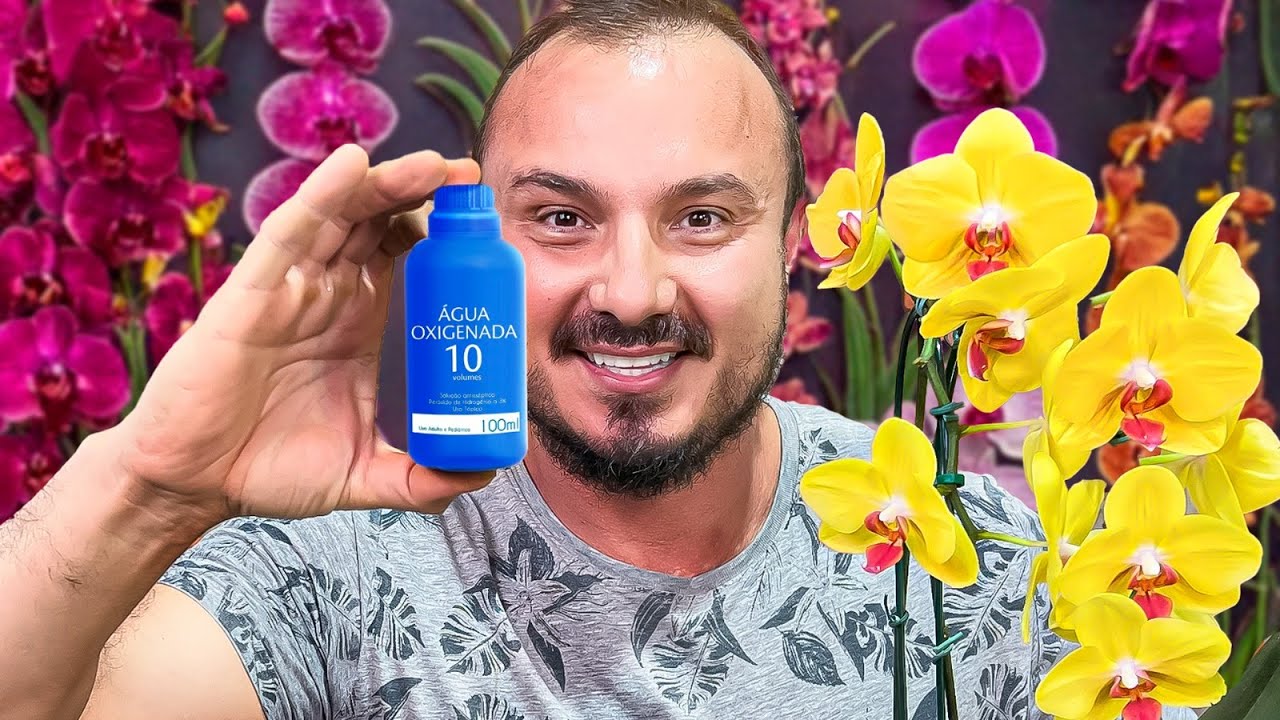 Coloque ÁGUA OXIGENADA nas ORQUÍDEAS | O RESULTADO SERÁ INCRÍVEL