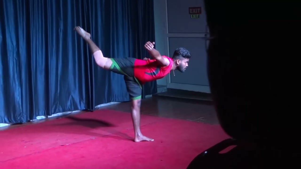 Kalaripayattu - a martial art drawing inspiration from animal postures