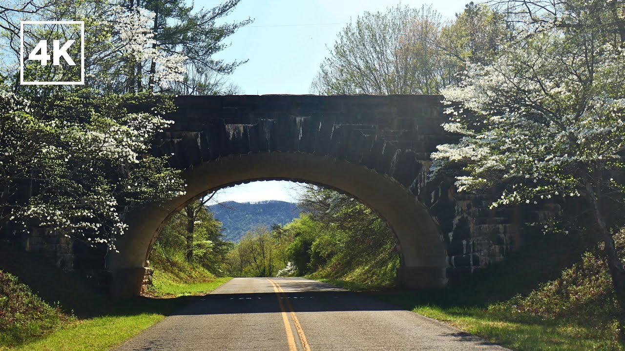 Spring Drive on the Blue Ridge Parkway | Roanoke VA Scenic 4K Nature Drive