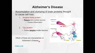 Chapter 12   learning and memory   Alzheimer's Disease Net Worth