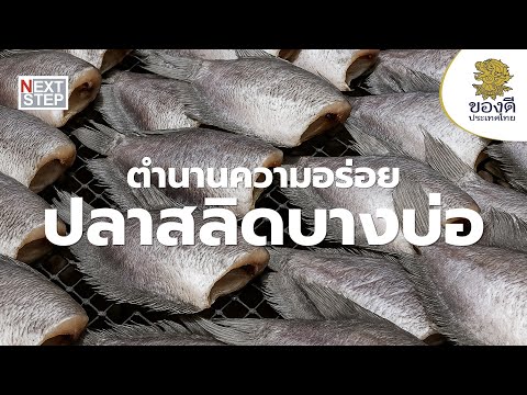 เบื้องหลังความอร่อย ปลาสลิดบางบ่อ | สารคดี ของดีประเทศไทย