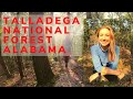 Hiking Alabama's Talladega National Forest