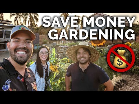 Video: Wenke om geld te maak in die tuin – kan jy geld maak uit tuinmaak