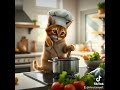 A cocinar #entretenimiento #gatos