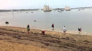 Schooner Festival Gloucester, MA 2013